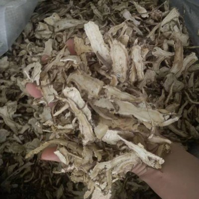 当归【振兴中药】中药材批发供应无硫当归 产地直销 承接订单