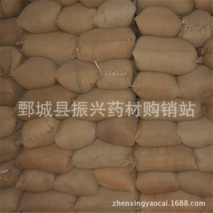 IPVR6NH~X]GM~I}`Q{L566K