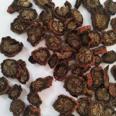 紫丹参各种规格 500g 产地山东 振兴药材购销站 量大从优 一站式