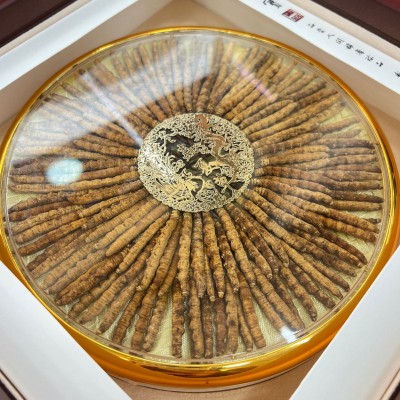 冬虫夏草批发干货冻干虫草礼盒装滋补品批发西藏那曲高海拔