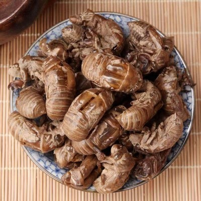 蝉蜕水洗中药材蝉衣新货知了皮水洗无增重无杂质批发蝉蜕
