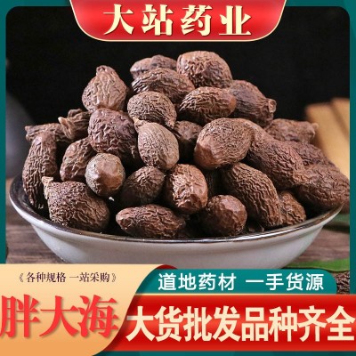 胖大海批发大货胖大海 各种规格圆果胖大海价优农产品加工胖大海