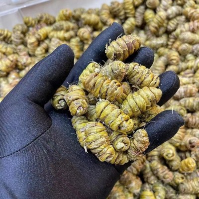 源头新货云南铁皮石斛枫斗批发胶质好化渣无渣一件代发可代打粉