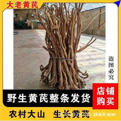 甘肃野生黄芪整条发货年份足含量高自然晒干老黄芪味浓产地批发
