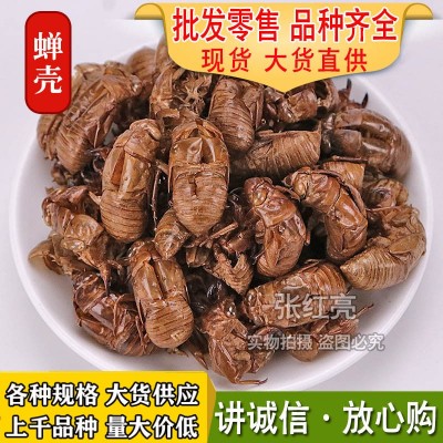 蝉蜕源产地大货蝉蜕水洗无沙蝉壳 知了壳农产品招代理价优蝉蜕
