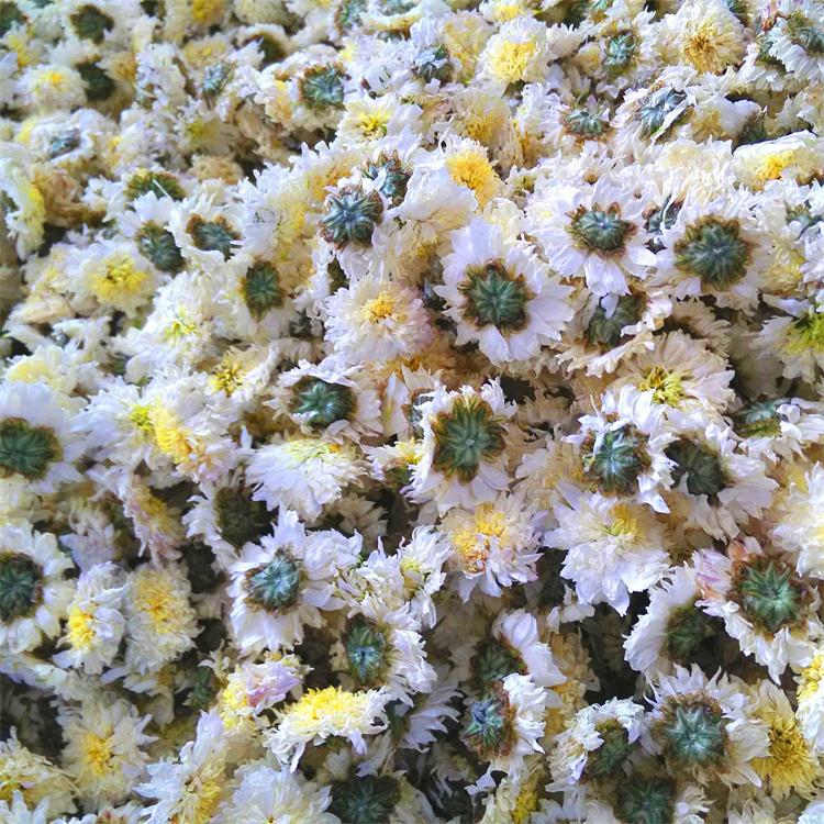 新建文件夹 (2)IMG20151023103932_看图王