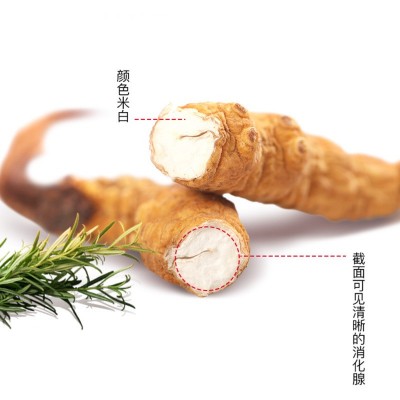 福东海 冬虫夏草 批发冬虫夏草精选4条/克足干虫草天龙虫草行送礼