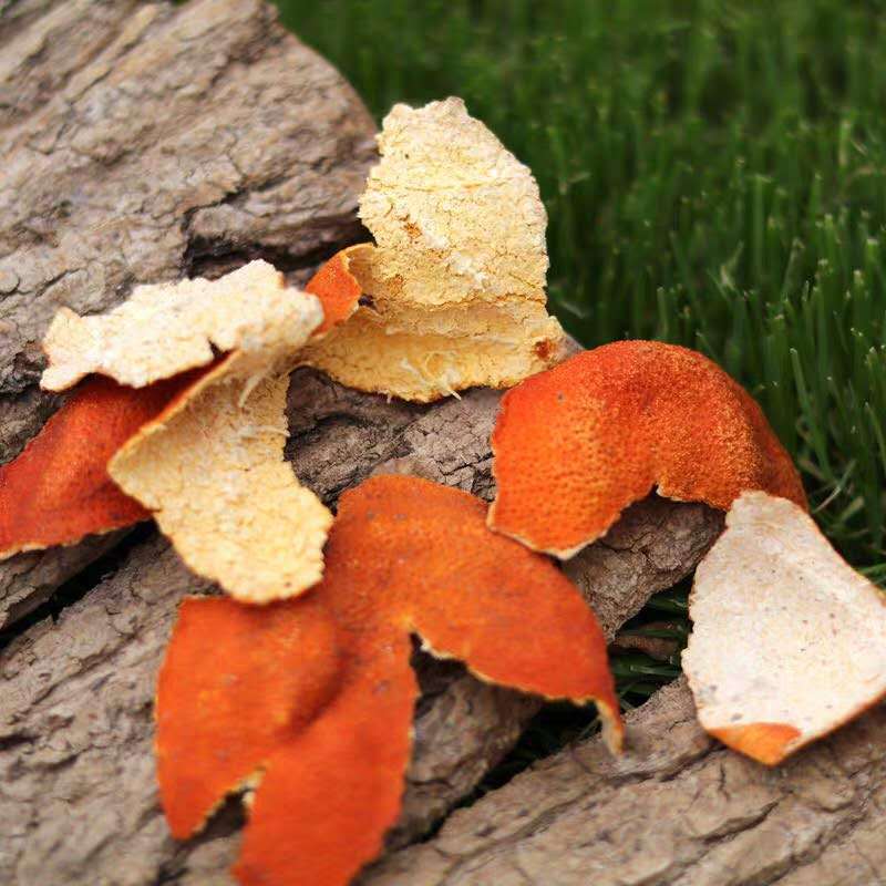 f690247d56d7ceb3551bf859a97741