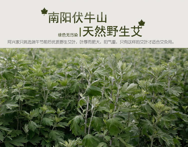 阿兴家五年陈纯艾灸条桑皮纸石臼艾条