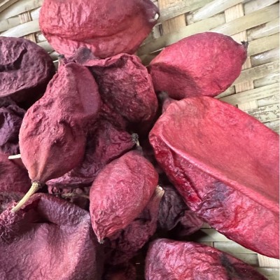 鬼臼果青海产地货源 中药材批发 规格齐全 量大价优