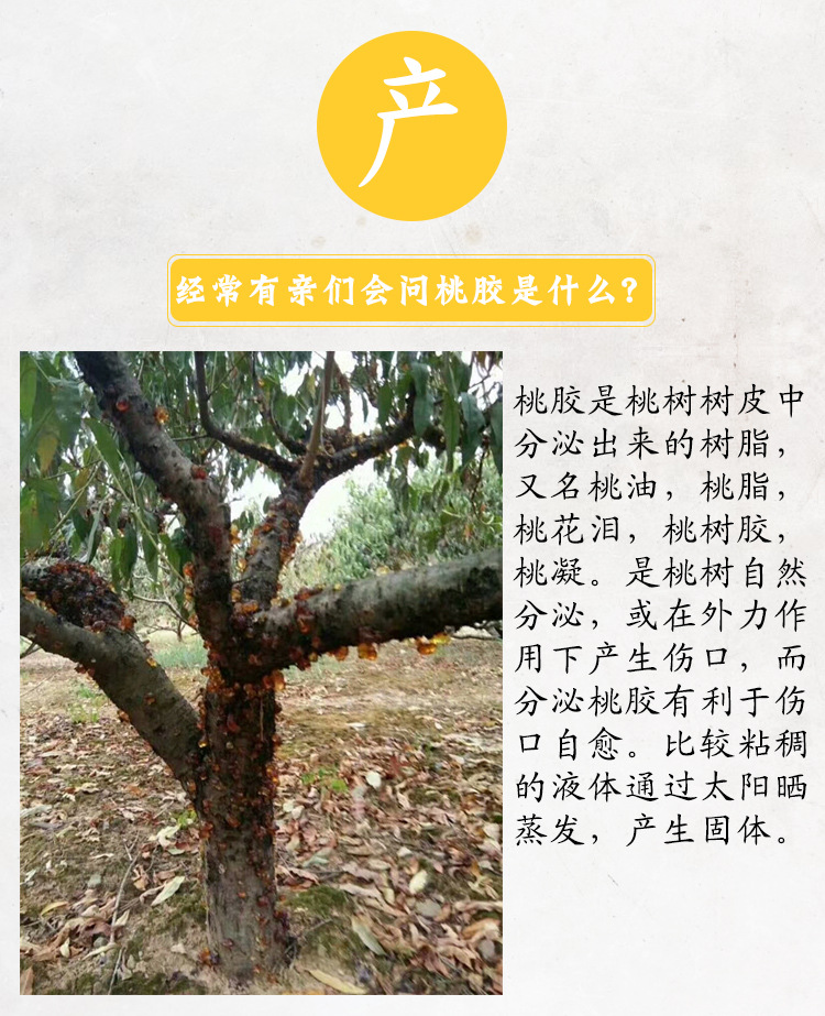 102803767366452898916403_x