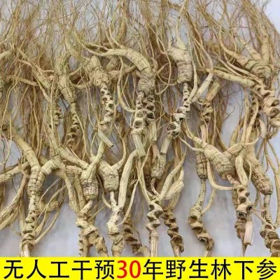 东北人参长白山野山参25年28年30年林下参干人参现货批发批发人参