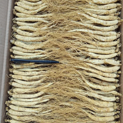 小白人参 小白参 生晒参 小人参 人参滋补品 化妆品香皂参参类干