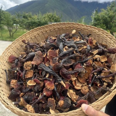 【白肉灵芝】西藏高原农家白肉灵芝林芝产区量大批发煮水煲汤泡酒