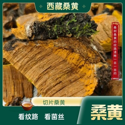 【西藏桑黄】西藏雪域高原桑黄/煲汤/煮水/泡酒100g/250g/袋