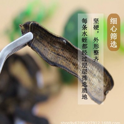 水蛭中药材宽体金线水蛭干正品蚂蟥干批发零售清水金边水蛭粉