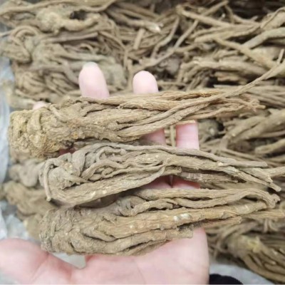 旭鸿中药 甘肃当归 当归个子无硫当归 批发中药材量大质优