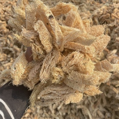 丝瓜络500克中药材 丝瓜络 丝瓜网 长期供应