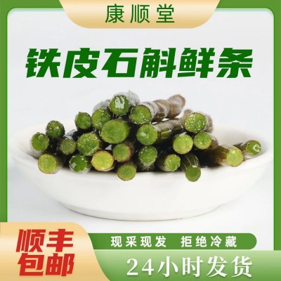 霍山新鲜铁皮石斛 传统滋补品 石斛鲜条 4年山里铁皮石斛批发胶好