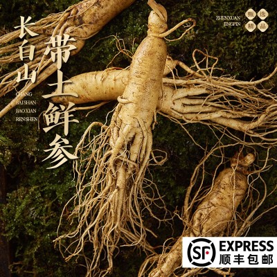 顺丰包邮长白山鲜人参整根24年新货东北带土鲜参批发泡酒人参500g
