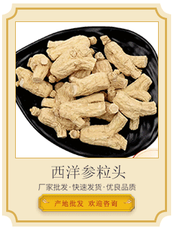 西洋参粒头导引