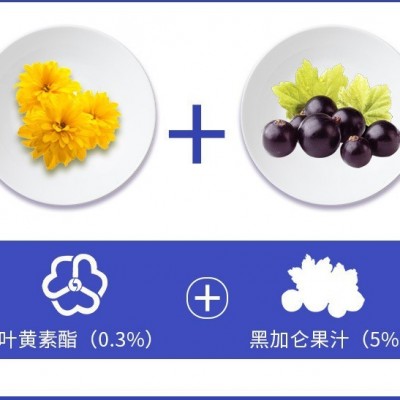 源头工厂定制蓝莓叶黄素压片糖果青少年学生上班族眼疲劳软糖贴牌