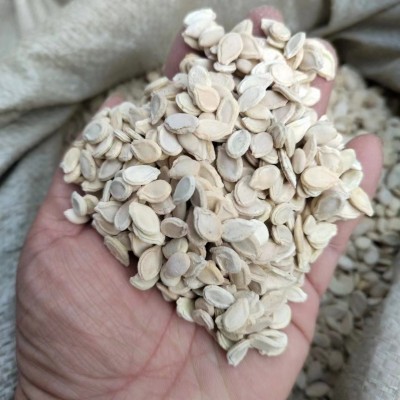 安国中药都现货批发中药材冬瓜子双边冬瓜白瓜子可供医院诊所个人