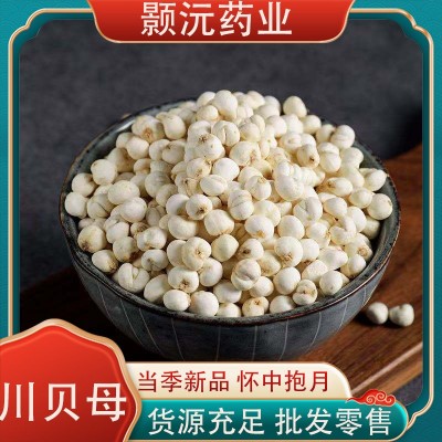 四川川贝母 平贝母散装批发 浙贝母散装批发500g量大从优一件代发