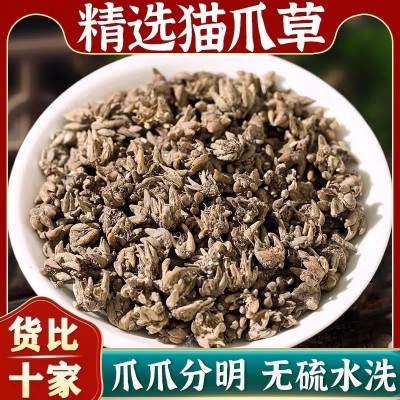 猫爪草中药材正品猫瓜草批发野外生猫爪草的功效与作用