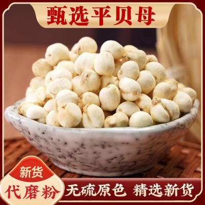 中药材平贝母长白山批发平贝母优质产地货源贝母粉各种规格承接大