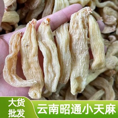 天麻干云南昭通干货中药材批发天麻片散装无硫统货煲汤小天麻干货
