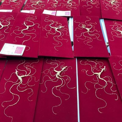 批发国检二等野山参 带证书 最新检证80板60版送礼盒装林下参籽货