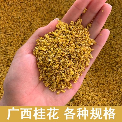 散装广西食用桂花茶批发干桂花各种规格 可联系客服 看详细视频