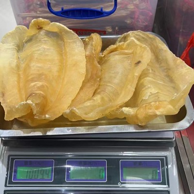 连锁实体店240头佐罗胶 鱼胶海味干货批发 每日滋补牛奶花胶代发