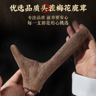 宜露纯梅花根正品鹿茸片带血泡酒中药材送礼盒梅花鹿茸整枝礼盒