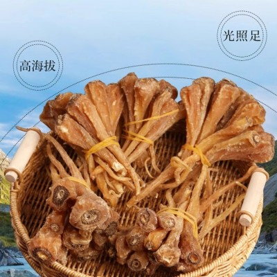 西藏雪参西藏特产藏血参雪人参玉人参 红毛阳参批发煲汤料泡酒料