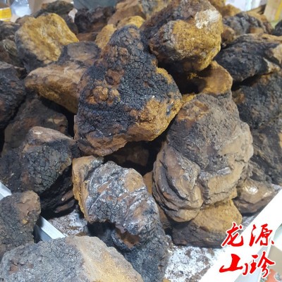 桦树泪俄罗斯野生桦褐孔菌 白桦茸 野生桦树泪桦树茸 500g包邮