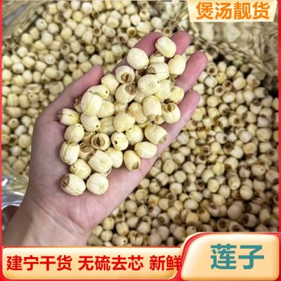 1建宁莲子白莲商用新鲜大个干货特级无硫手工去芯去心不苦莲子批发