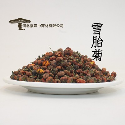 福寿中药材批发 雪胎菊干 新疆散装雪菊花雪菊米500g昆仑雪菊胎菊