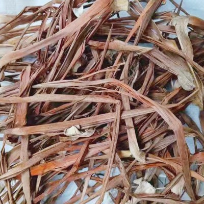 龙血树叶中药材别名特级蔗树兰狭叶龙血树医用树竹木参（可打粉）