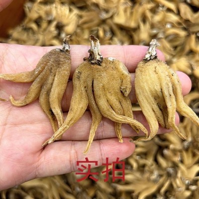 佛手参中药材 手掌参1kg 西藏特产佛手参 手掌参 手儿参