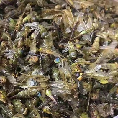 中药材蜻蜓绿蜻蜓500克绿色大蜻蜓干 蜻蛉 马大头青娘子