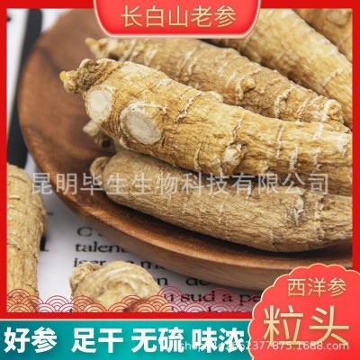 源头厂家直发长白山西洋参顺丛粒头整枝大货批发散装可打粉切片