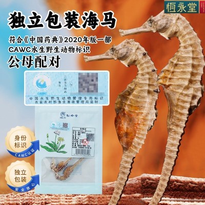 恒永堂海马干货材泡酒煲汤公母配对大海马饮片本港养殖溯源码海马
