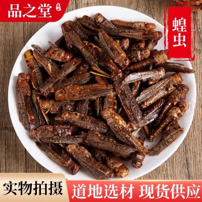 中草药材批发供应蝗虫干大蝗虫蚂蚱可开票冷背奇药材一站式购齐