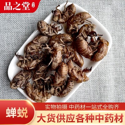 中草药材批发供应不熏硫 蝉蜕 蝉衣 知了皮 可开票冷背奇药材一站