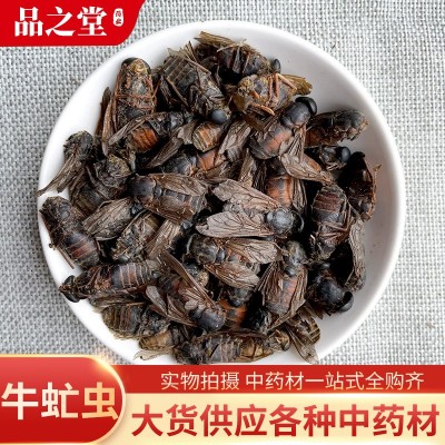 中草药材批发供应 牛虻虫 牛蚊子可开票冷背奇药材一站式购齐
