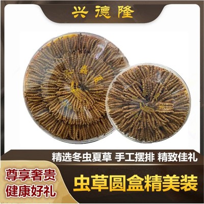 2022西藏那曲新货冬虫夏草圆盒装人工精美摆列无牙签无断草滋补品