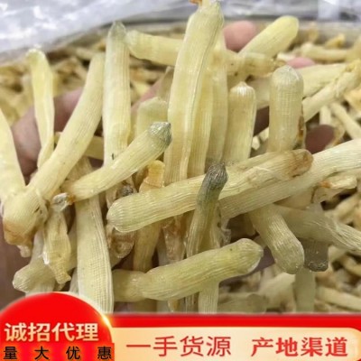 沙虫 北海沙虫干产地渠道 中号沙虫干 250g 酒店专供 北海特产