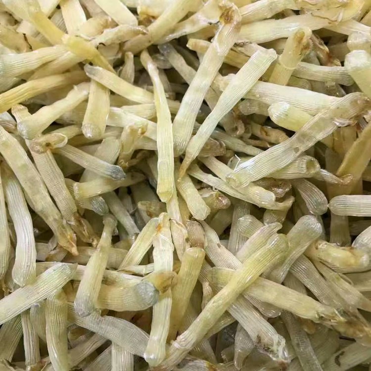 微信图片_20210401214242